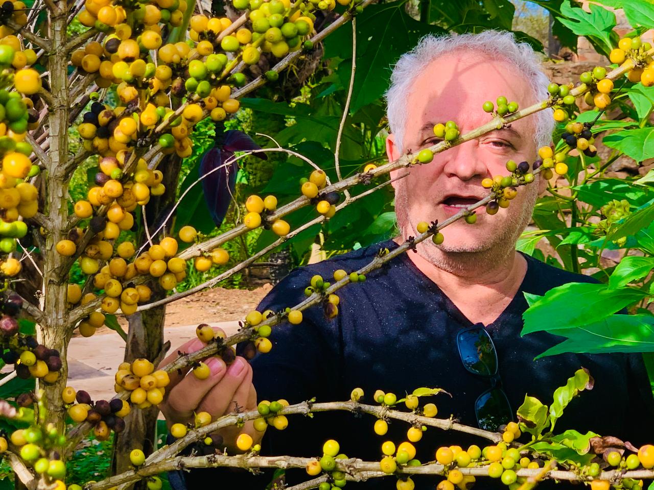 Joaquim - Catuaí 2SL