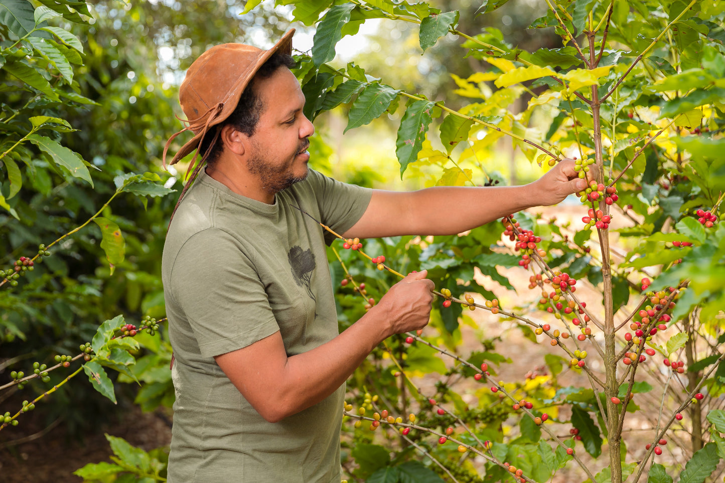 Juracy - Primeiros Amarelos